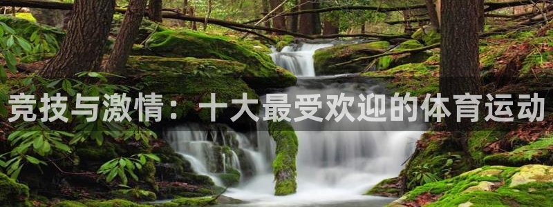 猎豹体育下载app：竞技与激情：十大最受欢迎的体育运动