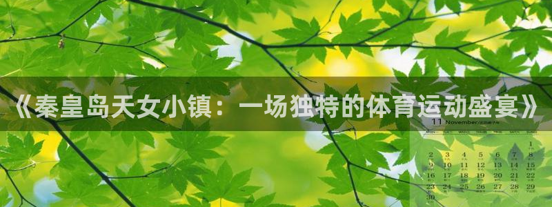 猎豹体育官方网站入口：《秦皇岛天女小镇：一场独特的体育运动盛宴》