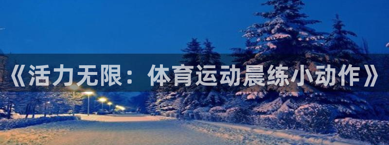 猎豹体育官方网站入口：《活力无限：体育运动晨练小动作》