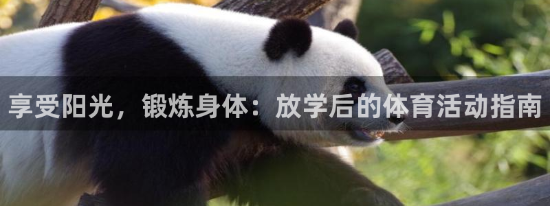 猎豹体育app下载安装：享受阳光，锻炼身体：放学后的体育活动指南