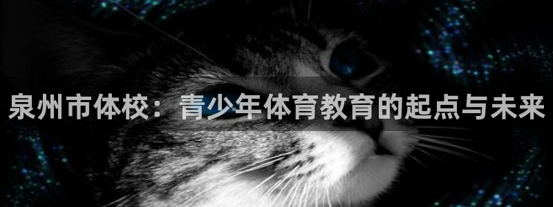 猎豹体育官网：泉州市体校：青少年体育教育的起点与未来